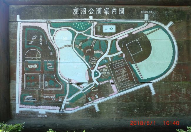 鹿沼公園 クチコミ アクセス 営業時間 相模原 フォートラベル 鹿沼公園 クチコミ アクセス 営業時間 相模原 フォートラベル