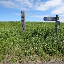 竜宮街道に来ました