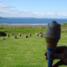 ネイチャーセンターで購入したソフトクリーム