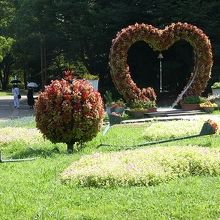 ハートの花壇