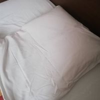 初めて体験した枕。半分折り曲げて、2通りの使い方できます