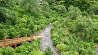 敷地が広いので計画的に回る必要があります