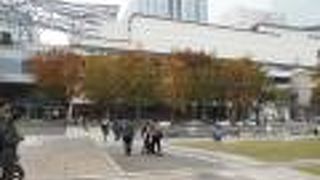 季節感を感じる横浜美術館前の広場