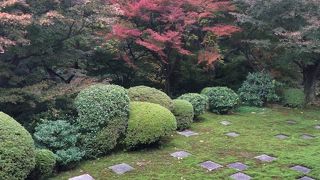 オフシーズンおすすめ