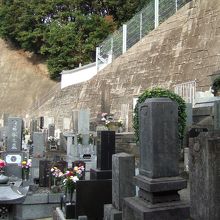 奥がおりょうさんのお墓ですが、空いていました