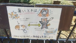 暑さで動物たちは保護されていました