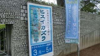 一年中花が見れます