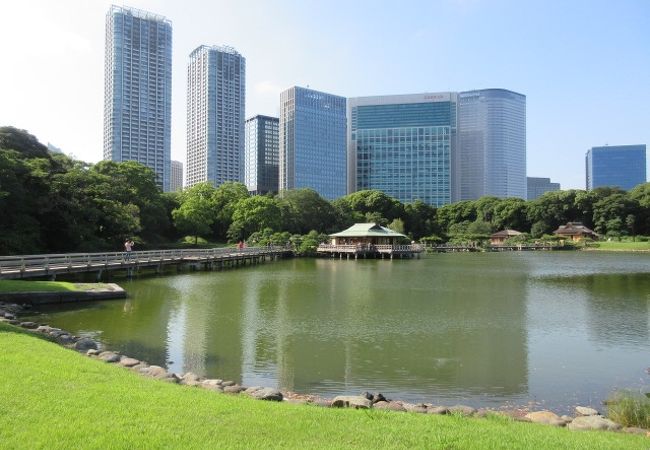 浜離宮恩賜庭園 潮入の池 クチコミ アクセス 営業時間 汐留 フォートラベル