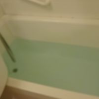 お風呂の元を入れてみた！素はベルガモットです。