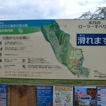 今日は滑れます