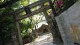 金蘭会高校のそばです