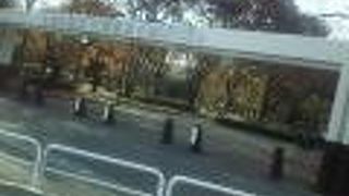 とても広々とした公園