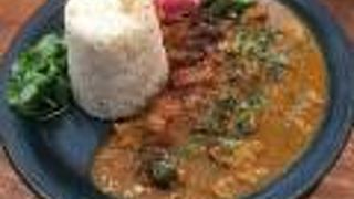 美味しいスパイスカレーを頂きました