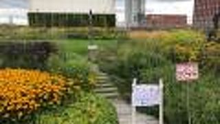 屋上ガーデン！