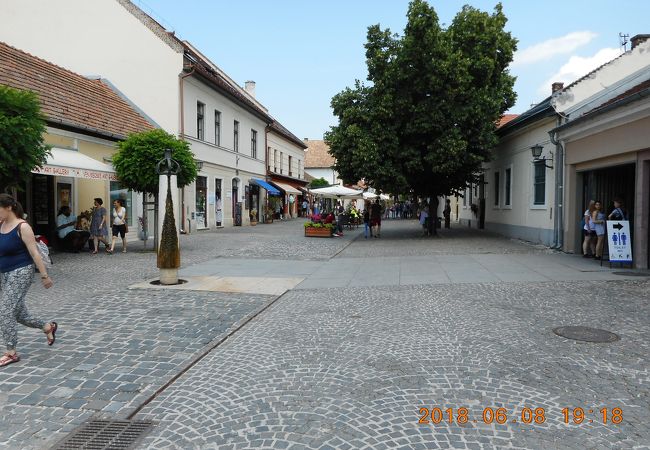 Dumtsa Jeno u (Szentendre)