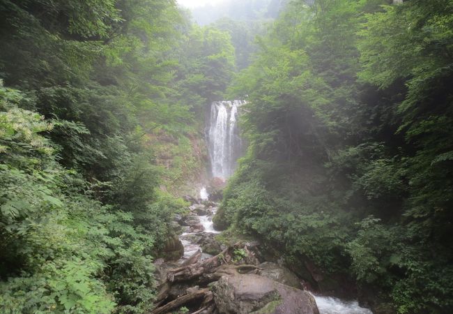 案内看板なくても迫力あり