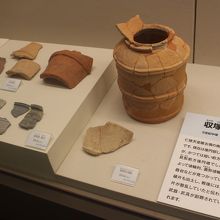 堺市博物館に展示されている発掘物