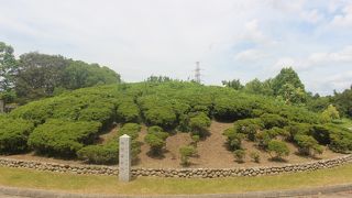 大仙公園内の古墳、整備されて花壇のようです。