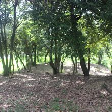 「後円」から「前方」を眺めたところ