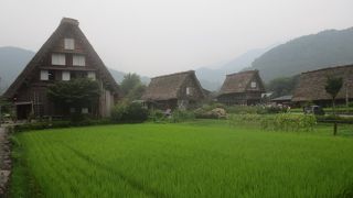 集落でみる合掌造りは絵になる