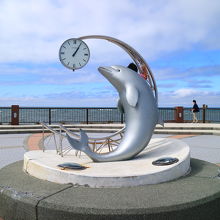 島に行くフェリーに乗るとイルカを見かける