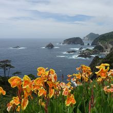 ビジターセンターの展望台