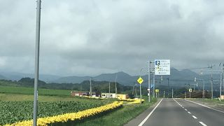 道の駅ルスツ近く