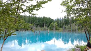 青くないときもあります。