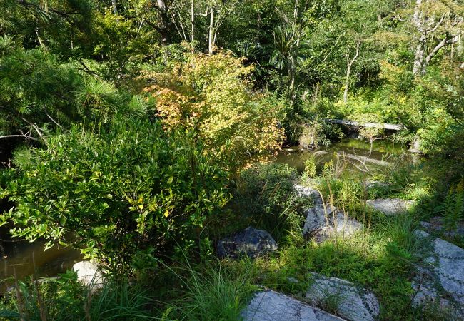 竹林院の庭園