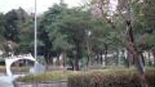 公園で静かに過ごしたり隣接する愛河沿いを散策しました