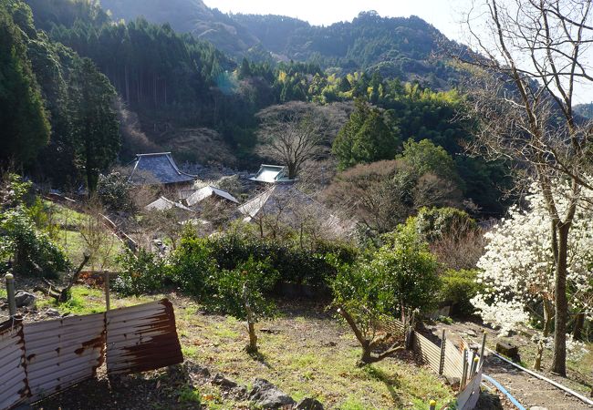 鞍掛峠