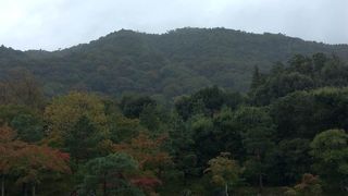 京都を代表する寺の一つ