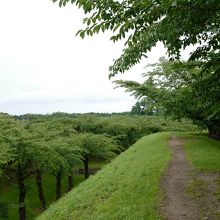 城址を一周すると、結構な距離に。