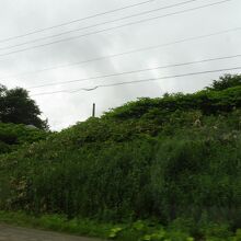 高さ６３メートル....一瞬ですが！