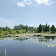 池の一周には約15分位。休憩ついでに寄るのが丁度良いです。