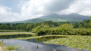 妙高山を望める池ですが、それ以外に特徴はあまりない。