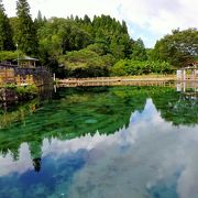 日本の名水百選に選ばれている飲むとエネルギーが湧いてくるという癒しの湧水