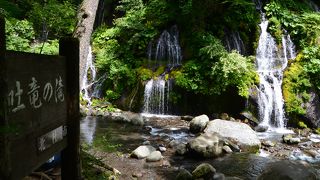 小海線鉄橋の真下が涼しくて最高！