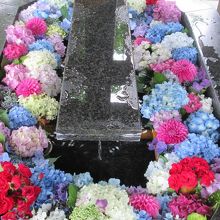札幌初の花手水