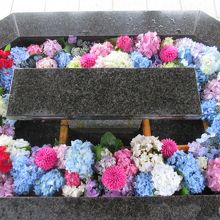 きれいな花が溢れていました