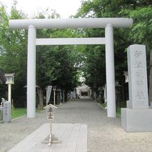 新琴似神社の鳥居