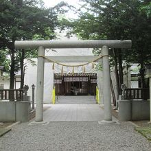 拝殿は工事中でした