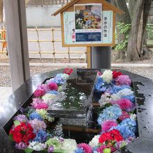 手水鉢に溢れる花手水