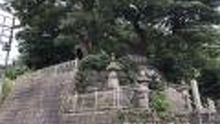 六代御前とは、平清盛のひ孫