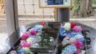 初めて行われた花手水