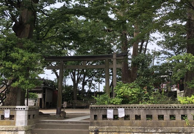 亀岡八幡宮 クチコミ アクセス 営業時間 逗子 葉山 フォートラベル
