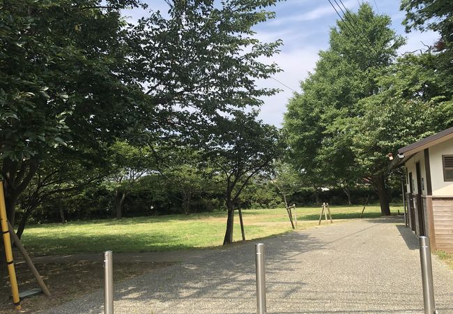 丘陵がそのまま公園になっている