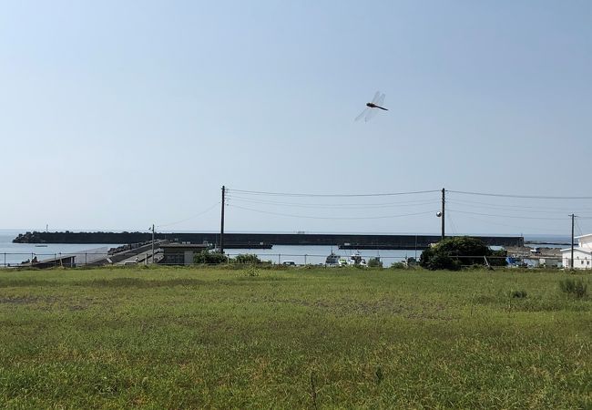 釣り船の基地として人気