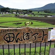 田んぼアートアマビエの説明