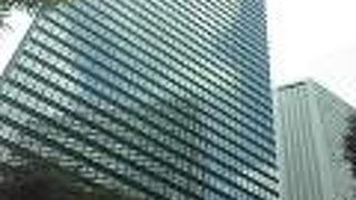 決して高くはないが